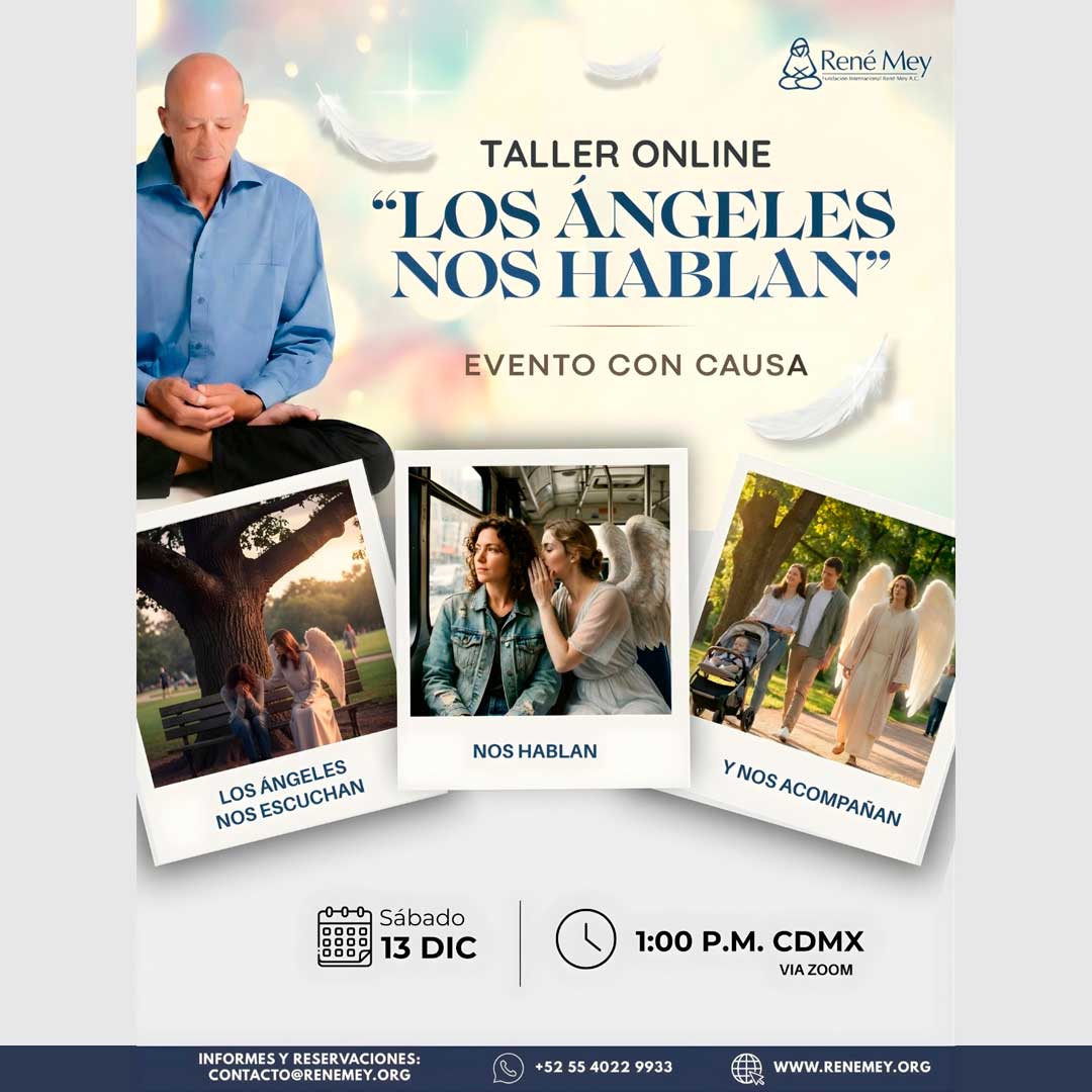 Los Ángeles Nos Hablan :: 13 de Diciembre